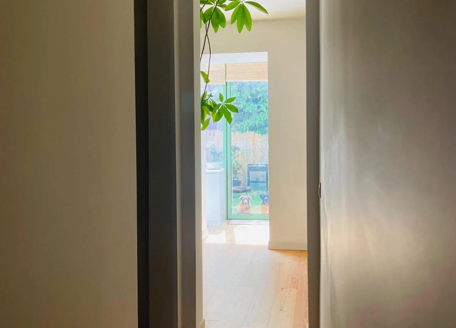 Contemporary Oasis In The Heart Of Lisbon Lägenhet Portugal